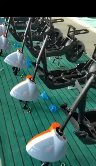 2023 Cina Fabbrica Divect Vendite Display A LED 48V Scooter Elettrico Bici 14in Bilanciamento Bicicletta Elettrica City Bike