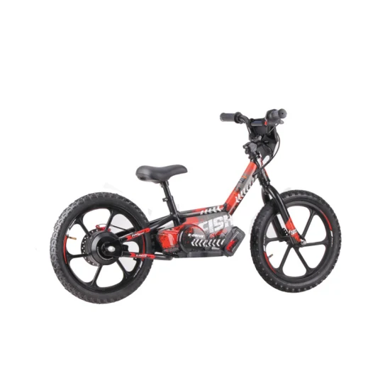 Bambini Mini Bicicletta Elettrica di Sicurezza Leggera Ebike 36V 2.5ah 250W Motore del Mozzo Brushless Freno A Disco Elettrico Balance Bike