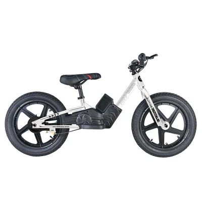 Bicicletta elettrica per bici da equilibrio per pneumatici grassi per bambini a buon mercato in fabbrica per bambino Ebike